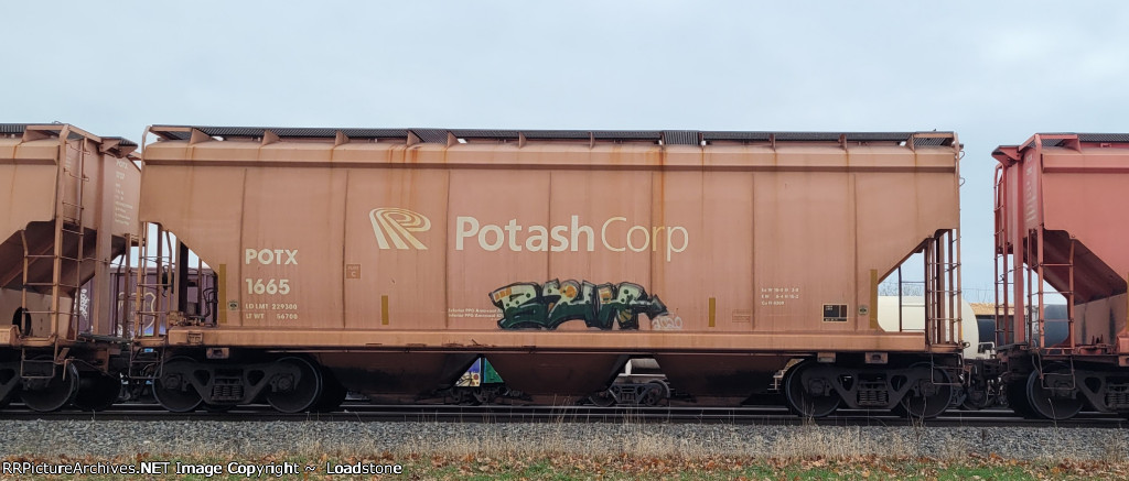 POTX 1665